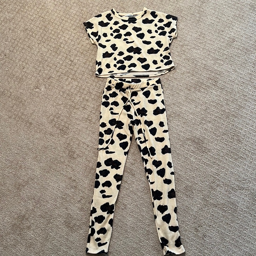 Fashion Nova Leopard Sweatpants and Crop Top